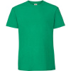 Fruit of the Loom Tričko Iconic 195 T, krátký rukáv, pánské COT16142252001-kelly green S Zelená kelly Fruit of the Loom Tričko Iconic 195 T, krátký rukáv, pánské COT16142252001-kelly green S Zelená kelly