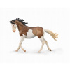 CollectA 88986 - Mustang kobyla, hnedá s bielymi škvrnami (splash o) CollectA 88986 - Mustang kobyla, hnedá s bielymi škvrnami (splash o)