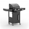 RIWALL PRO RGG 21 plynový gril 10 kW s dvoma horákmi a bočným varičom RGG 21 RIWALL PRO RGG 21 plynový gril 10 kW s dvoma horákmi a bočným varičom RGG 21