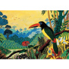 PIATNIK Puzzle Tukan 1000 dielikov PIATNIK Puzzle Tukan 1000 dielikov