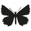 Motýľ - samolepiaca dekoračná nálepka 70x70cm Motýľ - samolepiaca dekoračná nálepka 70x70cm