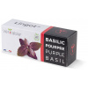 Véritable Lingot Fialová bazalka - BIO (VLIN-O10-BAS00F) Véritable Lingot Fialová bazalka - BIO (VLIN-O10-BAS00F)