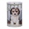 Clayre & Eef Biela plechová dóza pokladnička so psíkom - Ø 10*15 cm - Clayre & Eef Clayre & Eef Biela plechová dóza pokladnička so psíkom - Ø 10*15 cm - Clayre & Eef