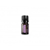 doTERRA TULSI HOLY BASIL (BAZALKA POSVÄTNÁ) ESENCIÁLNY OLEJ (5 ml) doTERRA TULSI HOLY BASIL (BAZALKA POSVÄTNÁ) ESENCIÁLNY OLEJ (5 ml)