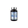 Scitec Nutrition Mental Focus – focus, pamäť a mentálny výkon, 90 kapsúl Scitec Nutrition Mental Focus – focus, pamäť a mentálny výkon, 90 kapsúl