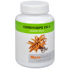 MycoMedica Cordyceps CS-4 90 kapsúl MycoMedica Cordyceps CS-4 90 kapsúl