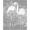 ZUTY Bodkovanie - DVA PLAMENIAKY Rámovanie: bez rámu a bez vypnutia plátna, Rozmer: 40x50 cm ZUTY Bodkovanie - DVA PLAMENIAKY Rámovanie: bez rámu a bez vypnutia plátna, Rozmer: 40x50 cm
