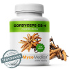 Mycomedica - Cordyceps CS-4 90 kapsúl Mycomedica - Cordyceps CS-4 90 kapsúl