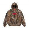 Supreme Box Logo Hooded Sweatshirt (FW25) Color: Realtree AP Camo, Size: XL Supreme Box Logo Hooded Sweatshirt (FW25) Color: Realtree AP Camo, Size: XL