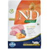 Granule pro kočky N&D Pumpkin CAT Neutered Lamb & Blueberry, 300 g Granule pro kočky N&D Pumpkin CAT Neutered Lamb & Blueberry, 300 g