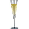 Bormioli Rocco Pohár na sekt Ypsilon 162 ml Bormioli Rocco Pohár na sekt Ypsilon 162 ml
