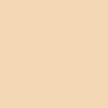 Pastelka Derwent Coloursoft - C570 Pale Peach Pastelka Derwent Coloursoft - C570 Pale Peach