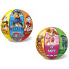 Lopta PAW PATROL 14 cm Lopta PAW PATROL 14 cm