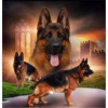 NORIMPEX Diamantové maľovanie Svorka nemeckých ovčiakov 30 x 40 cm NORIMPEX Diamantové maľovanie Svorka nemeckých ovčiakov 30 x 40 cm