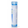 Laboratoires BOIRON MERCURIUS SOLUBILIS GRA HOM CH9 1x4 g Laboratoires BOIRON MERCURIUS SOLUBILIS GRA HOM CH9 1x4 g