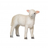 Mojo Jahniatko romney marsh stojace Mojo Jahniatko romney marsh stojace