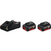 BOSCH - zahrada/dílna Bosch 2× GBA 18V 4,0Ah + GAL 18V-40 Professional (1.600.A01.9S0 ) BOSCH - zahrada/dílna Bosch 2× GBA 18V 4,0Ah + GAL 18V-40 Professional (1.600.A01.9S0 )