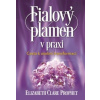 Fialový plamen v praxi - Prophet Elizabeth Clare Fialový plamen v praxi - Prophet Elizabeth Clare