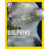 Face to Face with Dolphins Face to Face with Dolphins