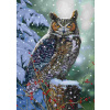 Alipson Puzzle - Puzzle Tichý pohľad sovy - 500 dielov Alipson Puzzle - Puzzle Tichý pohľad sovy - 500 dielov