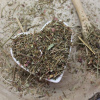 Pakost smradľavý - vňať narezaná - Geranium robertianum - Herba geranii robertianae 1000 g Pakost smradľavý - vňať narezaná - Geranium robertianum - Herba geranii robertianae 1000 g