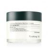 Pyunkang Yul Calming Moisture Barrier Cream 50 ml Pyunkang Yul Calming Moisture Barrier Cream 50 ml