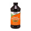 Now Foods Chlorofyl Liquid - Chlorofyl Liquid 473 ml Now Foods Chlorofyl Liquid - Chlorofyl Liquid 473 ml