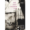 Dvě sovy v nízkém letu (Michaela Keroušová Hobzíková) Dvě sovy v nízkém letu (Michaela Keroušová Hobzíková)