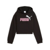 Dievčenská mikina s kapucňou Puma Essentials Čierna Dievčenská mikina s kapucňou Puma Essentials Čierna