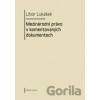 Mezinárodní právo v komentovaných dokumentech - Libor Lukášek Mezinárodní právo v komentovaných dokumentech - Libor Lukášek
