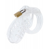 Hidden Desire Extreme Chastity Cock Cage Acrylic Hidden Desire Extreme Chastity Cock Cage Acrylic