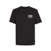 Pánske Tričko s krátkym rukávom O NEILL O'NEILL BEACH GRAPHIC T-SHIRT 2850215-19010 – Čierna Pánske Tričko s krátkym rukávom O NEILL O'NEILL BEACH GRAPHIC T-SHIRT 2850215-19010 – Čierna