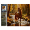 NORIMPEX Diamantové maľovanie Kôň v lesnom potoku 30 x 40 cm NORIMPEX Diamantové maľovanie Kôň v lesnom potoku 30 x 40 cm
