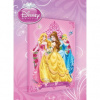 Obraz na plátne obdĺžnik - OB0065 - Walt Disney princezny 60cm x 40cm - O4 Obraz na plátne obdĺžnik - OB0065 - Walt Disney princezny 60cm x 40cm - O4