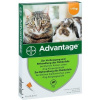 Advantage pre malé mačky a králiky 40mg 1x0,4ml Advantage pre malé mačky a králiky 40mg 1x0,4ml