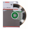 BOSCH Diamantový deliaci kotúč Standard for Ceramic 250 x 30+25,40 x 1,6 x 7 mm 2608602539 BOSCH Diamantový deliaci kotúč Standard for Ceramic 250 x 30+25,40 x 1,6 x 7 mm 2608602539