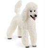 Schleich Plemeno Pudel Sučka 13917 Schleich Plemeno Pudel Sučka 13917