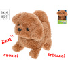 Mikro trading Take Me Home - Pejsek plyšový - 15,5 cm - chodící a štěkající Mikro trading Take Me Home - Pejsek plyšový - 15,5 cm - chodící a štěkající