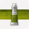 Winsor & Newton Winton olejová farba 37 ml - Sap Green Winsor & Newton Winton olejová farba 37 ml - Sap Green