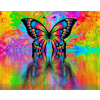 Maľovanie podľa čísel Gaira Motýľ M992170 (M992170ZM) Maľovanie podľa čísel Gaira Motýľ M992170 (M992170ZM)