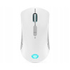Lenovo Legion M600 Wireless Gaming Mouse GY51C96033 Lenovo Legion M600 Wireless Gaming Mouse GY51C96033