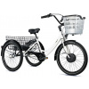 Leader fox CARGO - TRICYCLE BORMIO, WHITE MATT Leader fox CARGO - TRICYCLE BORMIO, WHITE MATT