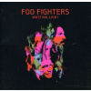CD Foo Fighters - Wasting Light CD Foo Fighters - Wasting Light