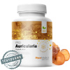 MycoMedica Auricularia 90kapsúl po 500mg Sila: PRO MycoMedica Auricularia 90kapsúl po 500mg Sila: PRO