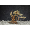 Aquasilva Bennett stromček aqua bonsai driftwood (koreň) Aquasilva Bennett stromček aqua bonsai driftwood (koreň)