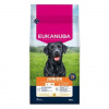 Eukanuba Dog Junior Large rich in fresh Chicken 15kg Eukanuba Dog Junior Large rich in fresh Chicken 15kg