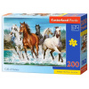 Castorland Volanie prirody 200 dielikov 222056 Castorland Volanie prirody 200 dielikov 222056