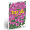 Harmonie Harmonie