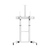 SBOX FS-3610-W, Podlahový stojan na TV, 60 SBOX FS-3610-W, Podlahový stojan na TV, 60