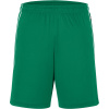 James & Nicholson Kraťasy Basic JN 387, týmové COT02038784401-green/white S Zelená/černá James & Nicholson Kraťasy Basic JN 387, týmové COT02038784401-green/white S Zelená/černá